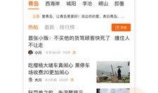 生活类新闻爆料有哪些,聚焦民生热点，探寻社会现象背后的真相