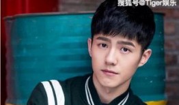 网友爆料张云龙视频大全,网友爆料精彩瞬间集锦