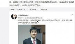 律师最新皮肤爆料,神秘面纱下的华丽蜕变