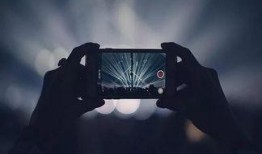 黑天鹅行迹爆料视频,视频爆料揭示不为人知的生态奇观