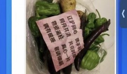 爆料时间垃圾桶视频,爆料时间背后的惊人真相