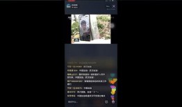 快手新闻如何爆料的视频,视频爆料背后的真相与影响力