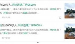 狮山新闻爆料电话,聚焦民生热点事件