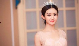 赵丽颖工作室爆料视频,揭秘明星幕后生活点滴