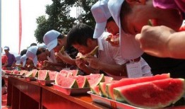 每日吃瓜大赛免费观看在线观看,免费在线观看，畅享欢乐时光