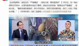 凤梨爆料视频在线观看,揭秘幕后真相，带你走进事件核心