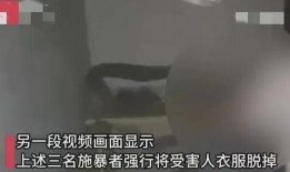 山东聊城女士爆料视频,山东聊城女士爆料视频引发热议