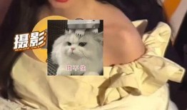 吴阿萍爆料人是谁呀视频,揭秘神秘爆料者身份