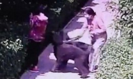 女子爆料淄博事件视频曝光,真相与争议交织