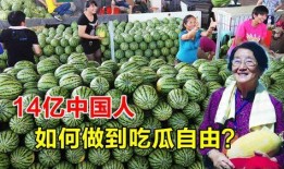 富贵吃瓜娱乐,娱乐圈幕后风云大揭秘