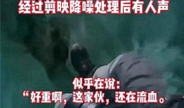 爆料蓝台遇害视频,真相背后令人震惊