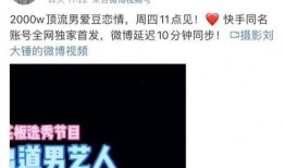 刘大锤爆料战绩视频下载,揭秘电竞高手背后的辉煌战绩