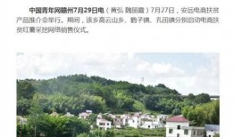 安远新闻爆料平台,聚焦民生，传递正能量