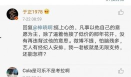 娱乐圈吃瓜文字,揭秘明星幕后恩怨情仇