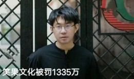 笑果爆料大哥视频在线观看,大哥视频在线观看，笑料百出引网友热议