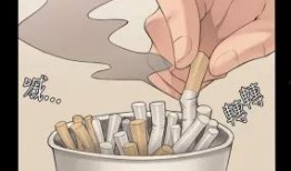 作曲家故事爆料大全最新,揭秘故事爆料大全中的音乐传奇