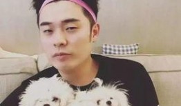 网友爆料张云龙视频大全,网友爆料精彩瞬间集锦