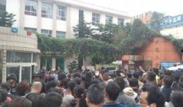 昆明小学爆料事件最新,揭开校园安全与管理的隐秘面纱