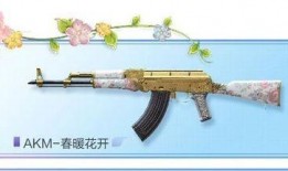 和平精英akm最新皮肤爆料,炫酷特效引玩家热议！