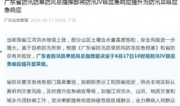 广东梅州爆料新闻事件,揭秘背后真相，引发社会关注