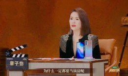 海青爆料王磊视频播放全集,揭秘背后惊人真相