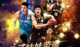 新疆歌手爆料视频播放,揭秘幕后真相