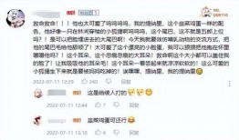 草神外网爆料视频大全最新,揭秘神秘力量与奇幻冒险之旅