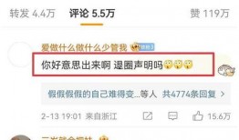 陈飞宇天涯爆料视频播放,揭秘娱乐圈背后真相