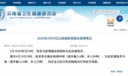 云南省最新爆料,神秘事件揭开神秘面纱