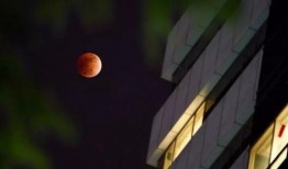 哈尔滨爆料红月亮事件视频,夜空异象引发热议