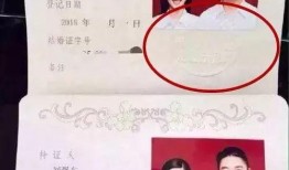 家暴男打老婆爆料娱乐圈,揭秘家暴男与受害妻子背后的故事