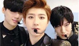 博主爆料蔡徐坤视频下载,博主爆料背后的真相