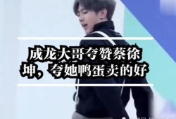 成龙爆料蔡徐坤视频大全,蔡徐坤视频背后的故事与真相