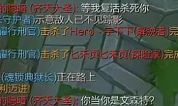 红夫人紫皮爆料视频,视频内容深度解析