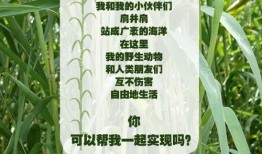 芦苇之歌在线观看,在线观看，感受生命的坚韧与诗意
