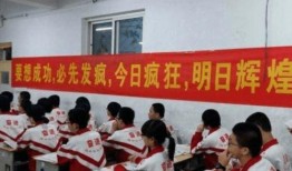 衡安中学爆料事件真相视频,揭秘校园风波背后真相