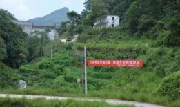 安溪县最新爆料,揭秘茶乡新动态与未来发展规划