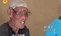 蜂蜇电影在线观看,揭秘神秘蜂群复仇的惊悚之旅