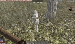 三级七日情情在线观看,三级情感剧在线观看全程回顾