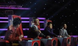 新闻大爆料娱乐节目是什么,新闻大爆料背后的精彩故事