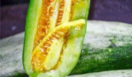 吃瓜最新事件 网红是谁