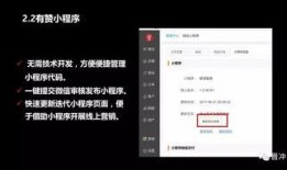 小程序深度爆料视频,深度爆料视频背后的精彩瞬间