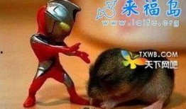 亨利小怪兽在线观看