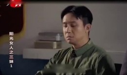 论理在线观看,探索逻辑思维与理性分析的奥秘之旅