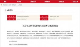 云南投资爆料最新消息今天,揭秘今日热点项目投资亮点