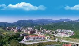 安溪县最新爆料,揭秘茶乡新动态与未来发展规划