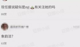 娱乐吃瓜酱被打,揭秘背后真相与网络暴力