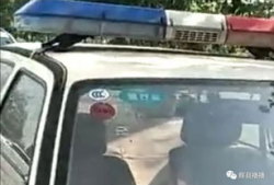 成都交警队爆料信息网最新,严打交通违法行为，守护城市交通安全