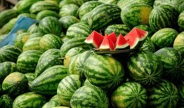 武都城网红吃瓜事件,揭秘网络舆论的风云变幻