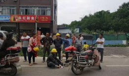 成都交警队爆料信息网最新,严打交通违法行为，守护城市交通安全